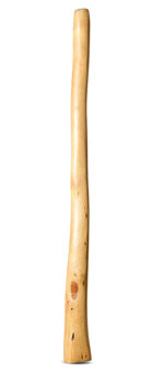 Medium Size Natural Finish Didgeridoo (TW1679)